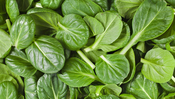 Turns Out Your Mom Was Right... - Ingredient Spotlight - Spinach